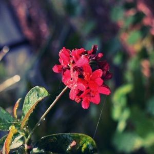 Meet your Posher, Meng